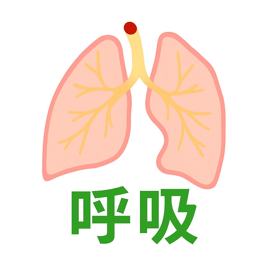 呼吸